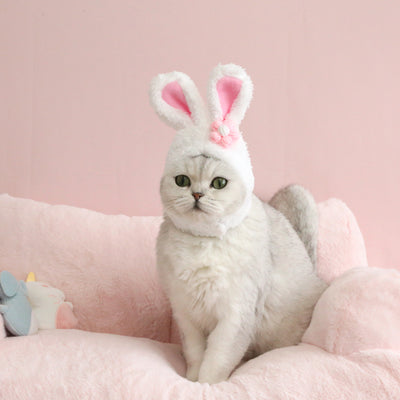 Gorro Divertido con Orejas de Gato, Perro y Conejo para Mascotas y Decoración Pascual - Image 3