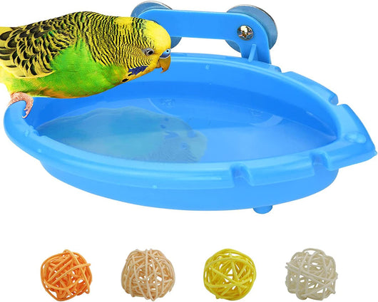 Comedero y Baño Multifuncional para Aves - Image 9