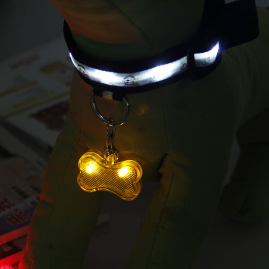 Placa de Identificación LED Forma Hueso para Mascotas - Collar de Seguridad Luminoso - Image 8