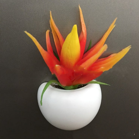 Imanes Decorativos de Suculentas para Refrigerador - Mini Plantas Magnéticas - Image 14