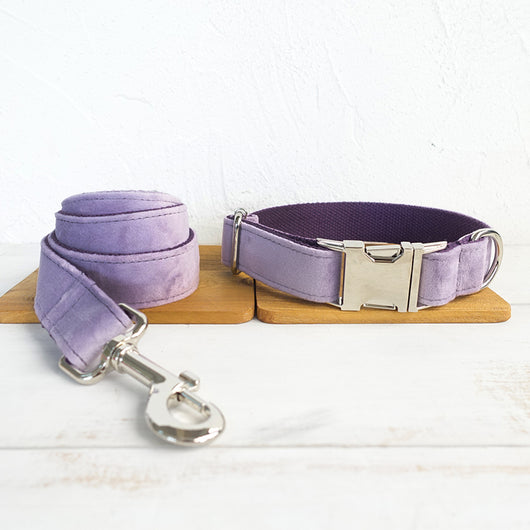 Collar y Correa para Perros - Control Seguro y Cómodo - Image 15