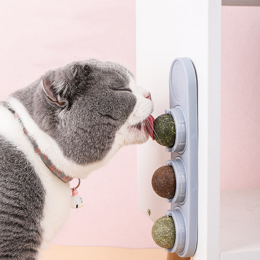 Cat treat dispenser with four lickable balls: cat sugar, cat mint, gall fruit, and silvervine, in a purple holder. - Image 4