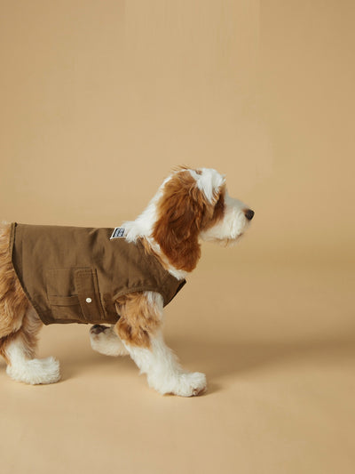 Chaleco Deportivo para Mascotas - Ropa de Trabajo Resistente a Manchas - Image 7