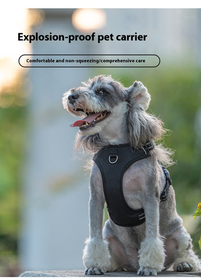 Arnés Reflectante para Perro con Correa de Seguridad Antitirón - Image 11