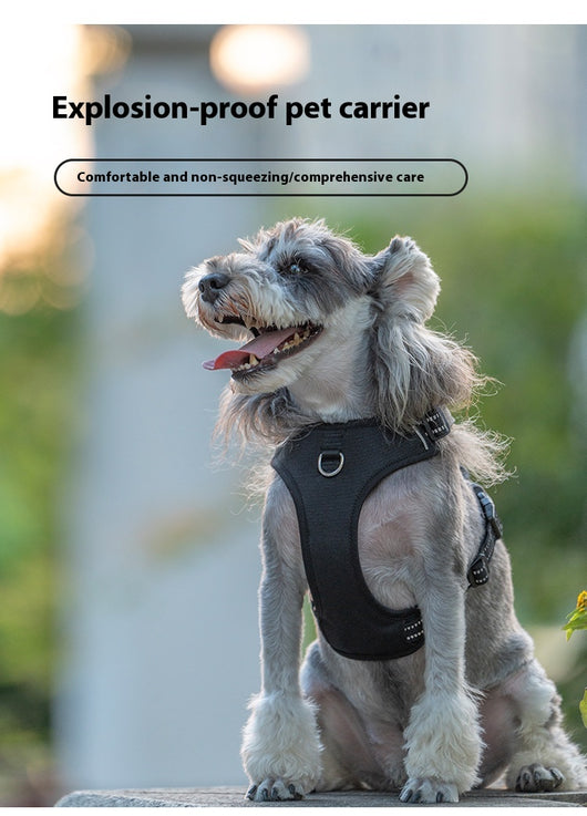 Arnés Reflectante para Perro con Correa de Seguridad Antitirón - Image 11