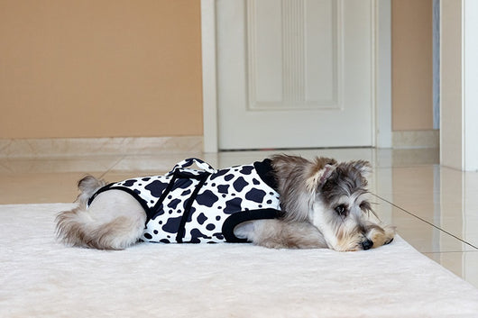 Ropa Quirúrgica Protectora para Mascotas - Anti-lamido Universal - Image 14