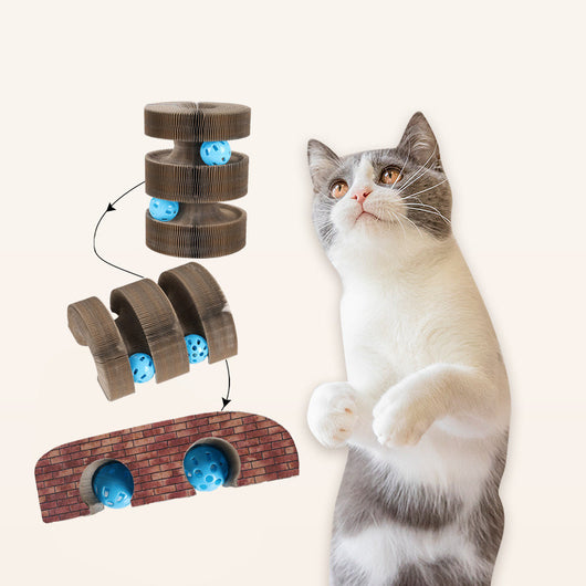 Rascador Acordeón Musical para Gatos - Image 12