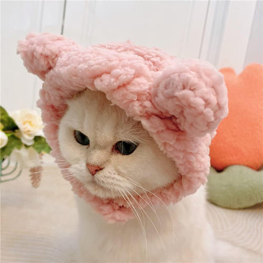 Gorro Disfraz de Osito Cálido para Gatos y Mascotas Pequeñas - Image 5