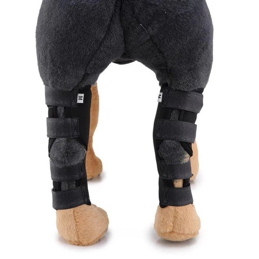 Soporte Ortopédico para Pata de Perro - Image 2