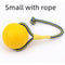 Trumpet With Rope