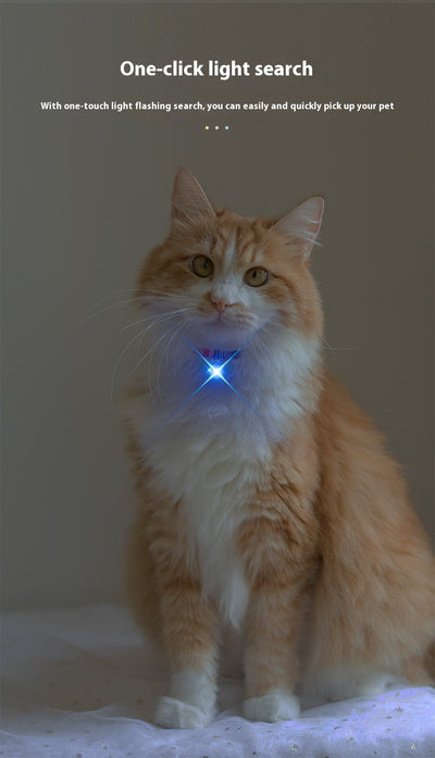 Localizador GPS para Mascotas con Alarma Antirrobo - Gatos y Perros - Image 17