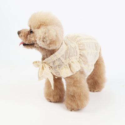 Vestido Fresco para Perro - Diseño Adorable Primavera Verano - Image 11