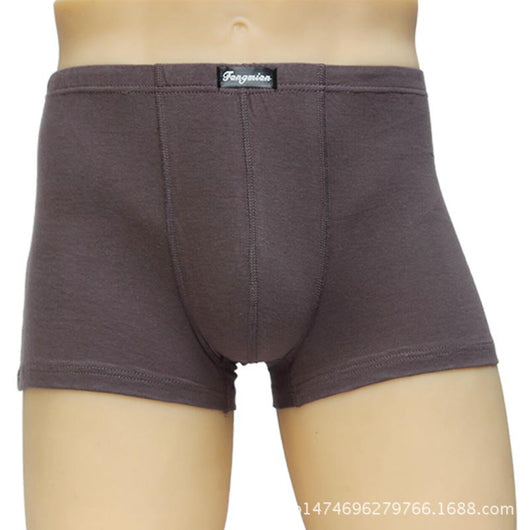 Pantalones Cortos de Algodón para Hombre - Image 12
