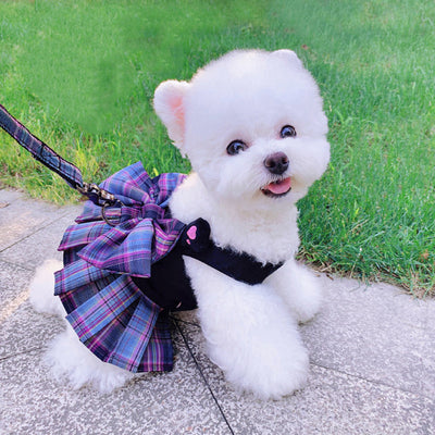 Falda para Perro Pequeño con Correa de Mano - Ropa Ligera Verano - Image 6