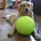 Juguete Dental de Goma Resistente para Perros con Textura de Tenis