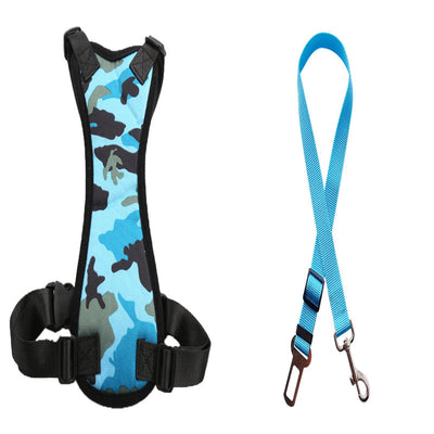 Cinturones de Seguridad para Mascotas en Auto - Image 5