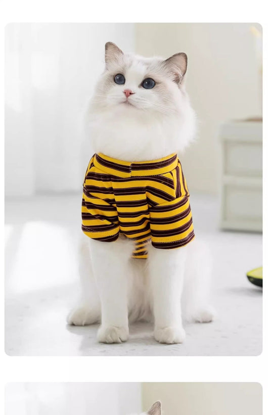Ropa Ligera a Rayas para Mascotas - Gatos y Perros Pequeños - Image 13
