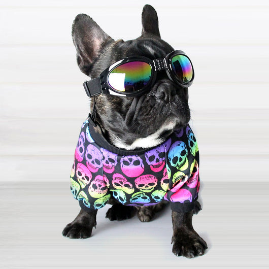 Ropa para Perros Pequeños - Abrigo Teddy para Bichón, Pomerania y Schnauzer - Image 7