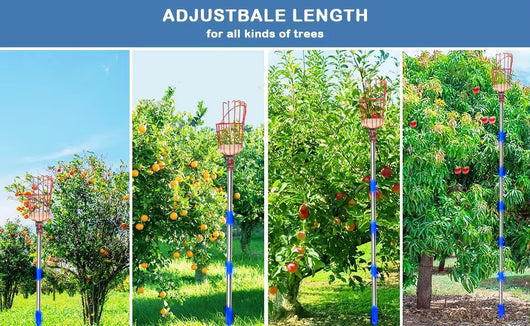 Cosechador de Frutas Plegable y Divisible - Image 15