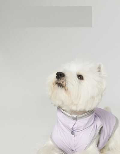 Chaleco Impermeable Ultradelgado para Perros - Protección contra Agua y Viento - Image 10
