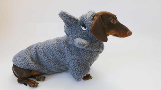 Abrigo Térmico para Mascotas con Forro de Polar - Diseño Tiburón - Image 11