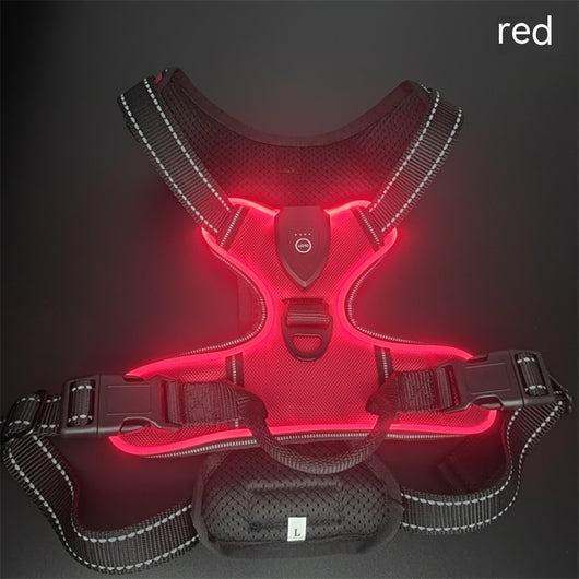Chaleco LED Luminoso para Paseos Nocturnos de Mascotas con Destello Ajustable - Image 2