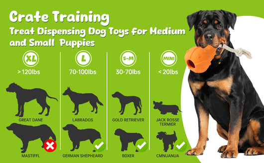 Juguete Rellenable para Perros con Dispensador de Premios - Image 15