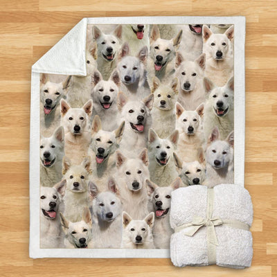 Manta Franela Estampada para Perros - Image 20