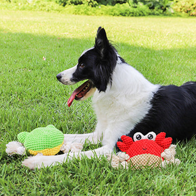 Juguete de Cuerda Interactivo para Perros - Tirador Resistente con Peluche - Image 8