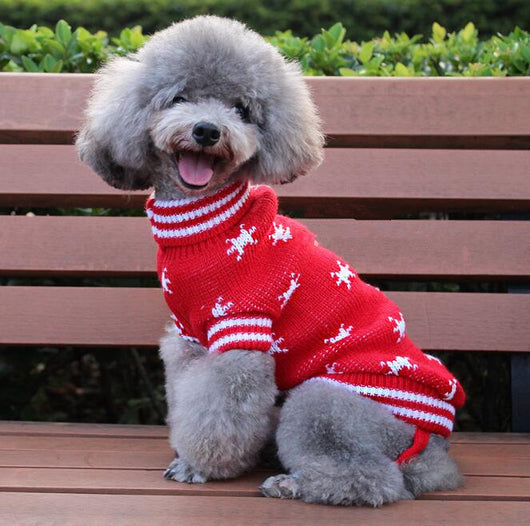 Suéter Tejido para Perros - Abrigo Invernal Cálido para Mascotas - Image 5