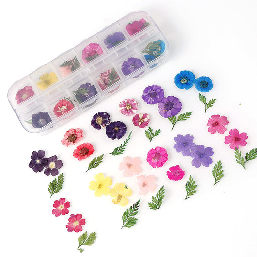 Set de 12 Cajas de Joyas con Flores Secas Naturales - Image 9