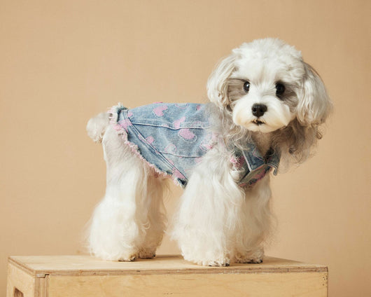 Chaleco Denim sin Mangas para Perros - Diseño Desgastado Love - Image 18