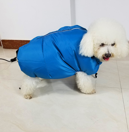 Secador de Perros Profesional con Kit Completo para Todas las Razas - Image 6