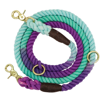 Collar Degradado para Perros con Correa de Entrenamiento y Cadena Metálica - Image 5