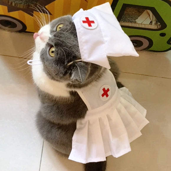 Conjunto de Vestido para Gato Personalizado y a la Moda