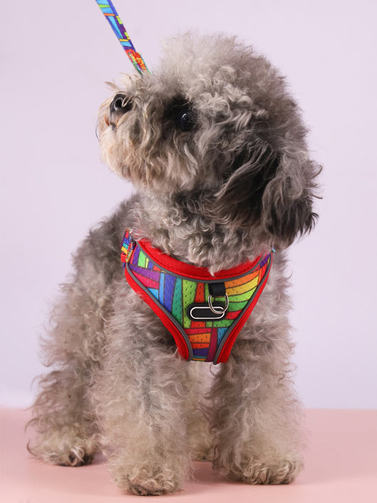 Arnés de Tracción Pectoral para Perros - Image 14