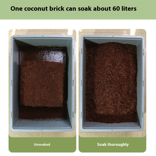 Sustrato de Coco para Plantas Suculentas - Cultivo sin Tierra - Image 2