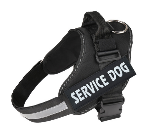 Arnés de Pecho para Perro con Correa Integrada - Image 16