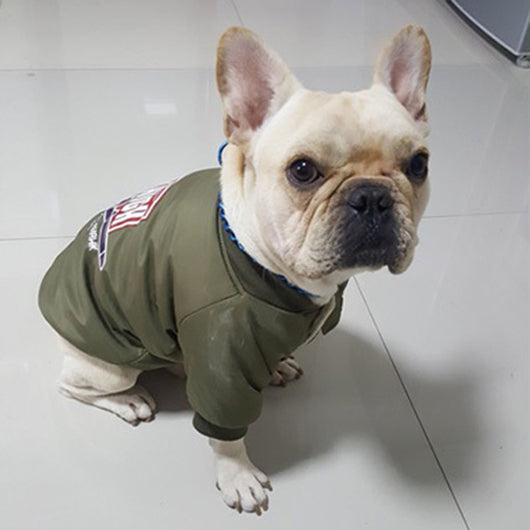 Suéter de Algodón y Forro Polar para Mascotas - Image 11