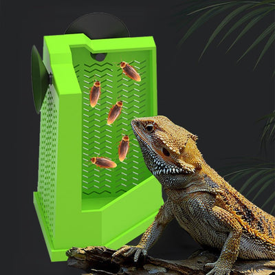 Comedero Esquinero para Dragón Barbudo con Ventosas - Alimentador de Pared para Terrario - Image 9