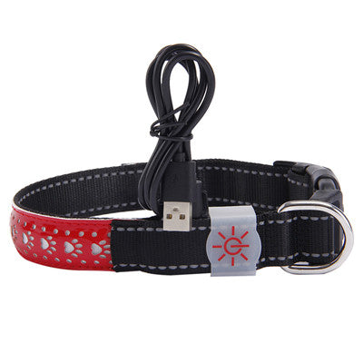 Collar LED Luminoso para Mascotas - Image 21
