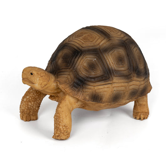 Adorno de Resina para Tortugas Brasileñas - Hábitat Acuático Realista - Image 8