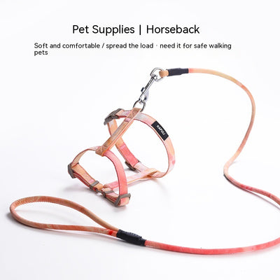 Cuerda Interactiva para Gatos con Degradado de Colores - Image 18