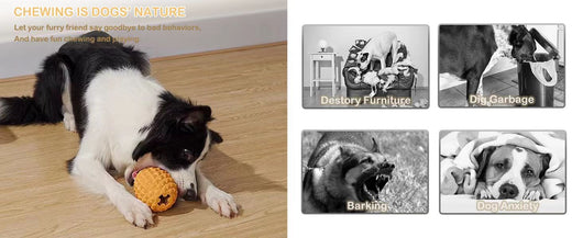 Juguete Resistente para Perros Agresivos - Dispensador Interactivo de Premios - Image 12