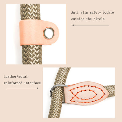 Collar de Entrenamiento Profesional con Correa Automática para Perros - Image 18