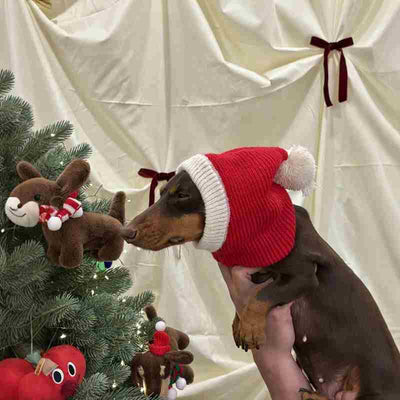 Gorro Cálido de Peluche con Forma de Perro Salchicha para Navidad - Image 9