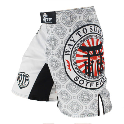 Ropa de Entrenamiento de Artes Marciales Mixtas - Shorts y Uniforme Sanda - Image 5