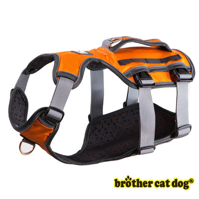 Banda de Soporte Toraco-Lumbar para Perros - Image 6