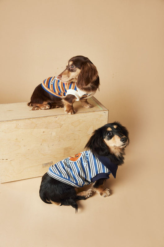 Polo sin Mangas a Rayas para Perros - Chaleco Elegante y Cómodo - Image 16