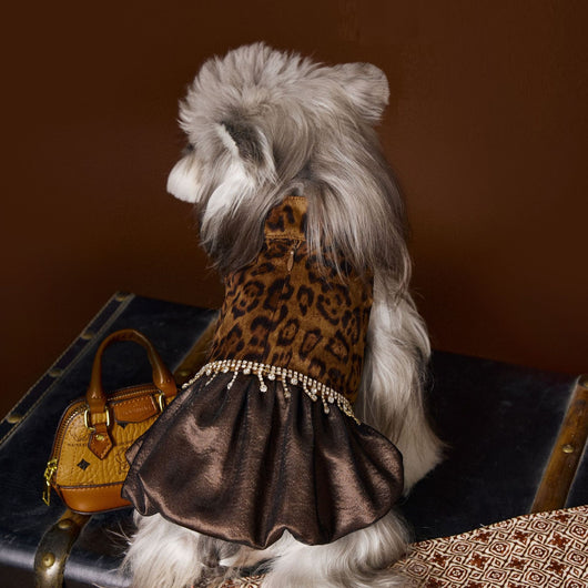 Vestido Otoñal Estampado Leopardo para Perros - Image 3